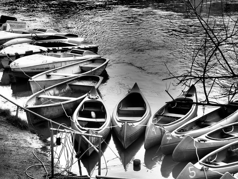 Kayaking Tours